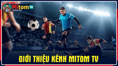 Giới thiệu kênh xem trực tiếp bóng đá hàng đầu Mitom TV